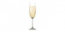 Tescoma Sklenice na šampaňské CHARLIE 220 ml, 6 ks