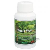 Wild Yam (90 tablet)