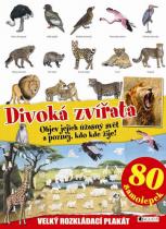 Velký rozkládací plakát, 80 samolepek: Divoká zvířata