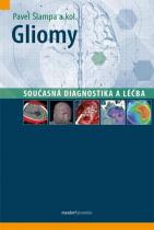Pavel Šlampa: Gliomy - Současná diagnostika a léčba