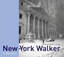 Martin Froyda: New York Walker in Blizzard