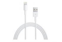 Apple Lightning to USB Cable 2m