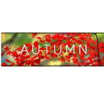 Autumn (PC)
