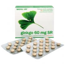 Woykoff Ginkgo 60mg SR (60 tablet)