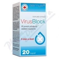 Promising Health Inc. Barny´s VirusBlock cps.20