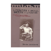 Literatura v Americe, Amerika v literatuře