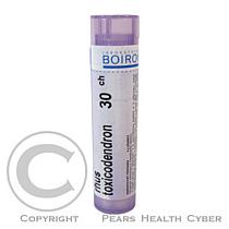 BOIRON RHUS TOXICODENDRON CH5 4g