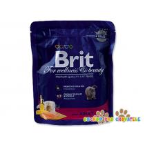 BRIT Premium Cat Adult Salmon 300g